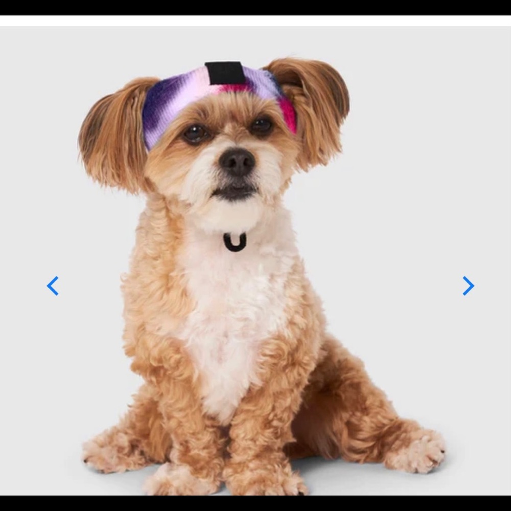Canada Pooch tie dye beanie
